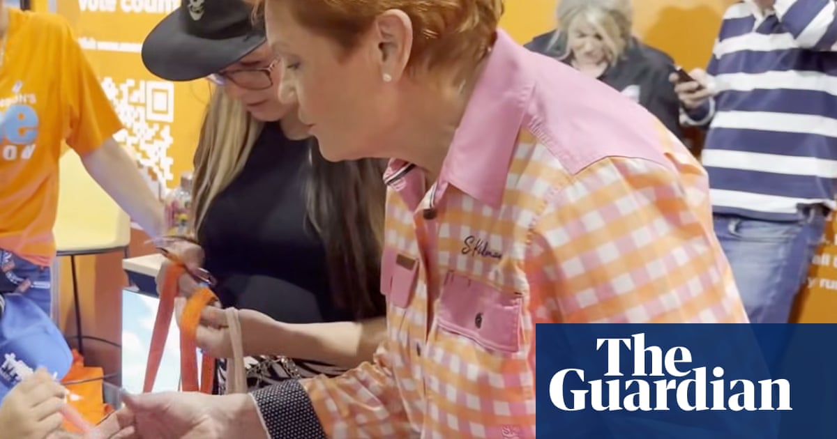 Pauline Hanson denies responsibility for colouring book depicting Bluey being held at knifepoint | One Nation