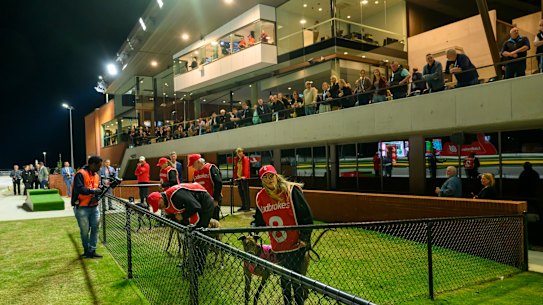 Race night at The Q.