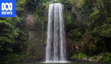 Japanese tourist dies at Millaa Millaa Falls in Far North Queensland