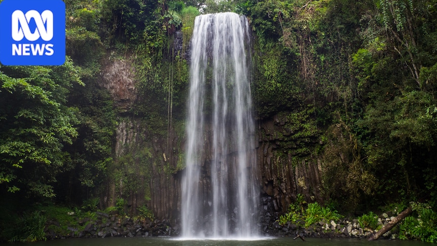 Japanese tourist dies at Millaa Millaa Falls in Far North Queensland