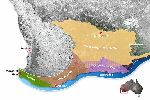 The Gondwana Link is aiming to reconnect country across south-western Australia, from the Karri forest to the woodlands and mallee bordering the Nullarbor plain. 