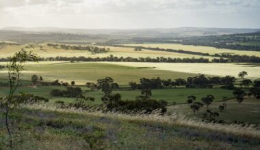 Bush restoration project driven by 76-year-old GP obstetrician on WA farmland