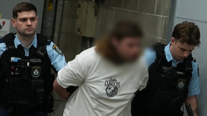 Homebush sexual assault: Jesse Lee Hardy arrested over Airey Park attack