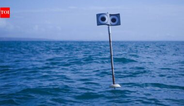 Scientists put a floating ‘scarecrow’ beside fishing nets; the device cut seabird bycatch by 59%, while a kite cut it by 71% |