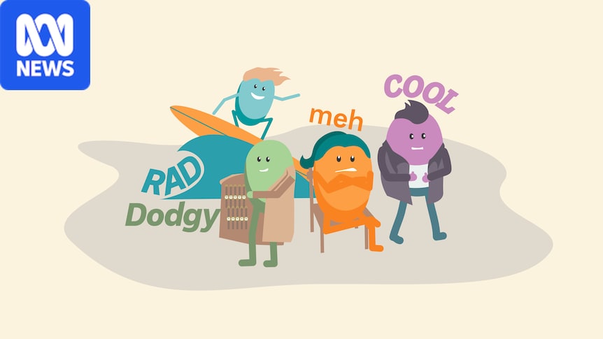 Wordage quiz: Rank these words by how old they are