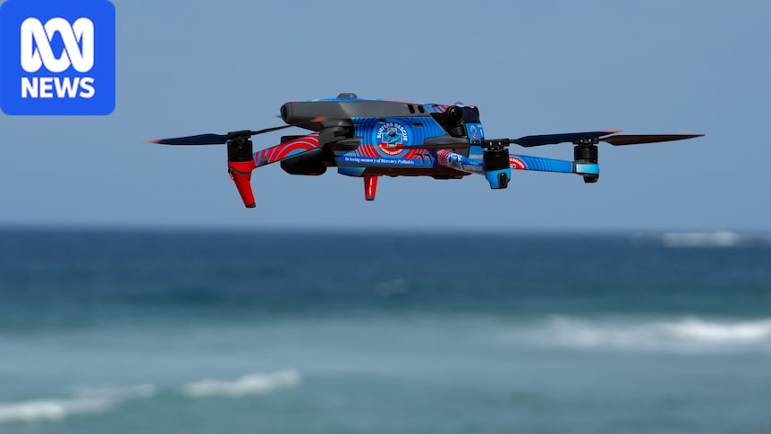 WA shark-tagging program to be expanded as funding announced for AI drones