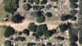 Aerial imagery shows new graves appearing at Rookwood cemetery between 2025 and 2026 – Nearmap