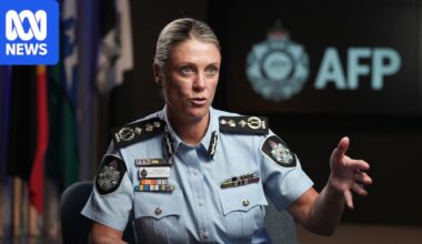 AFP chief says policing alone can't fix rise in online child abuse