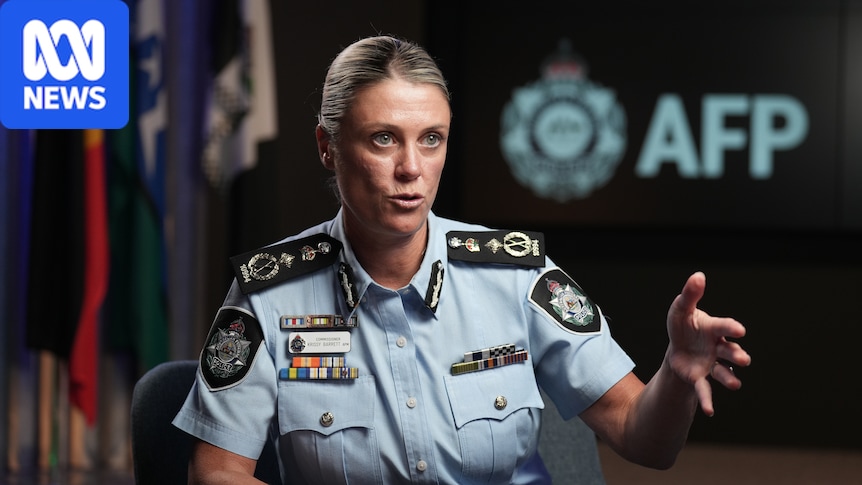 AFP chief says policing alone can't fix rise in online child abuse