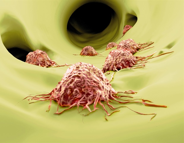 Disrupted circadian rhythms may influence tumor immunity and cancer spread