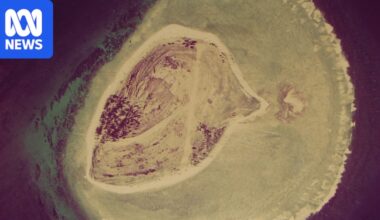 Guano mining left Lady Elliot Island a barren wasteland. Now it's a tropical oasis