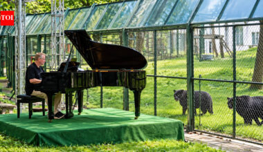 Rock legend Rick Wakeman played piano for 150 rescued moon bears in Vietnam; he now wants the last 125 bears still caged on bile farms moved to sanctuaries﻿ | World News
