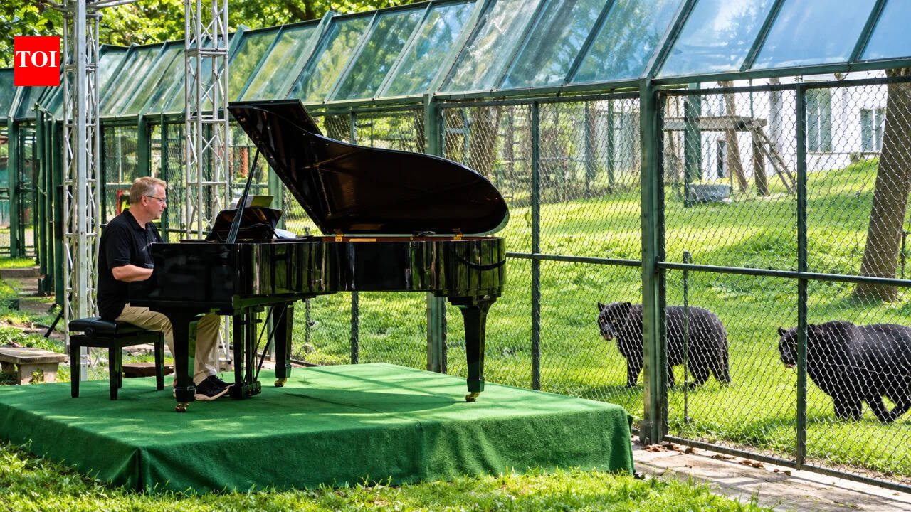 Rock legend Rick Wakeman played piano for 150 rescued moon bears in Vietnam; he now wants the last 125 bears still caged on bile farms moved to sanctuaries﻿ | World News