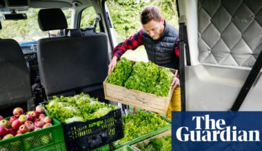 Don’t go the extra mile: is local food better for the environment? | Food