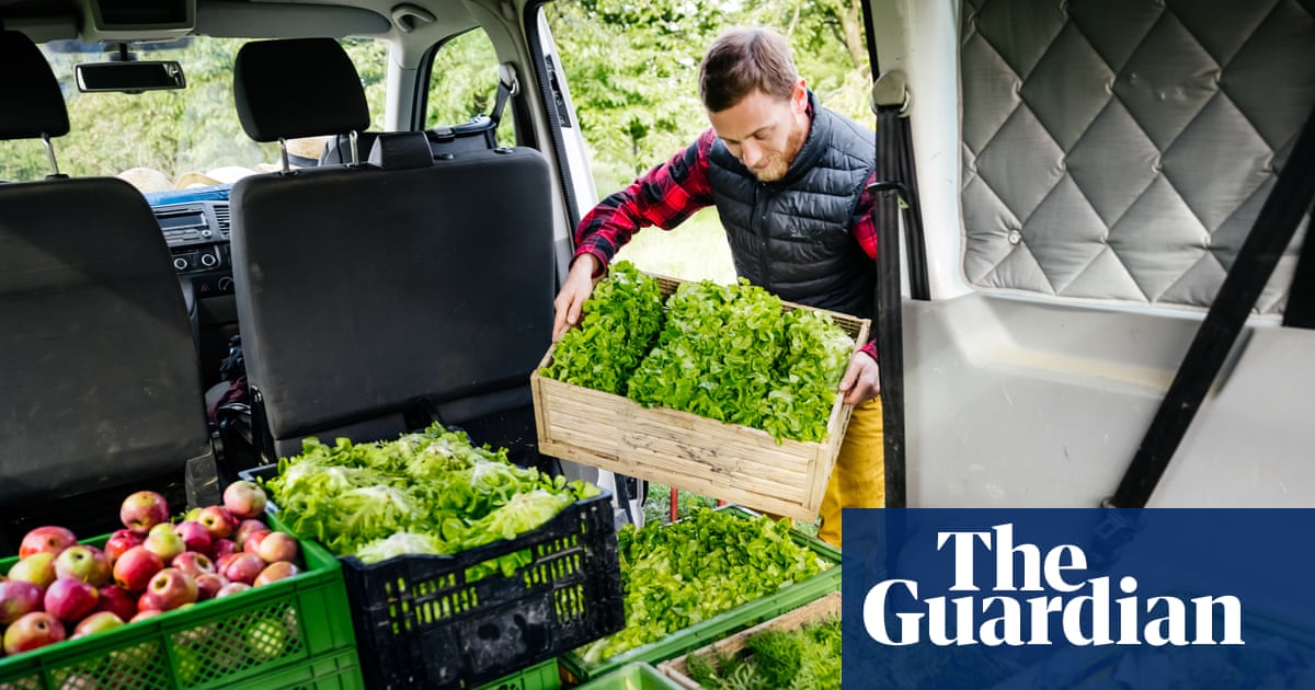 Don’t go the extra mile: is local food better for the environment? | Food