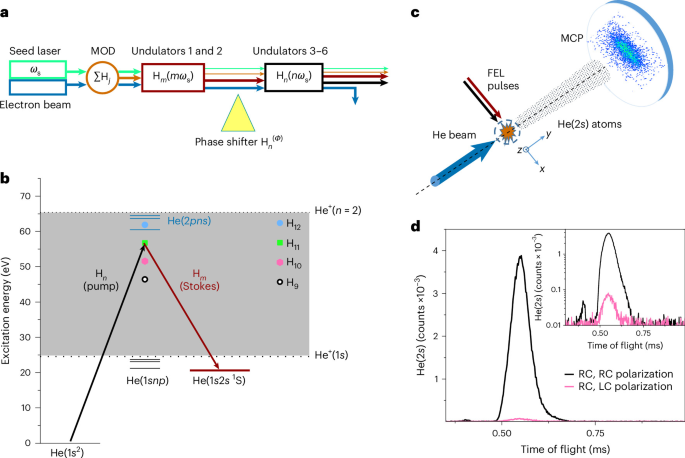Phase control of interfering stimulated Raman pathways in the XUV regime