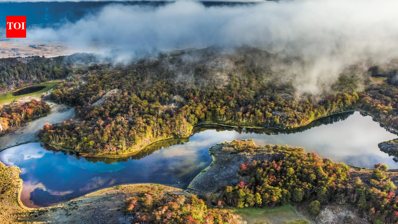 In 2004, Kris Tompkins’ conservation organisation acquired a 174,500-acre Chilean ranch and began restoring its grasslands and wildlife; in 2018 the ranch became part of a national park within a wider conservation effort that has helped protect nearly 15 million acres