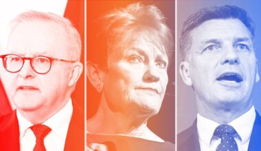 One Nation polling: Pauline Hanson’s support and likeability fall, Labor blamed on cost of living