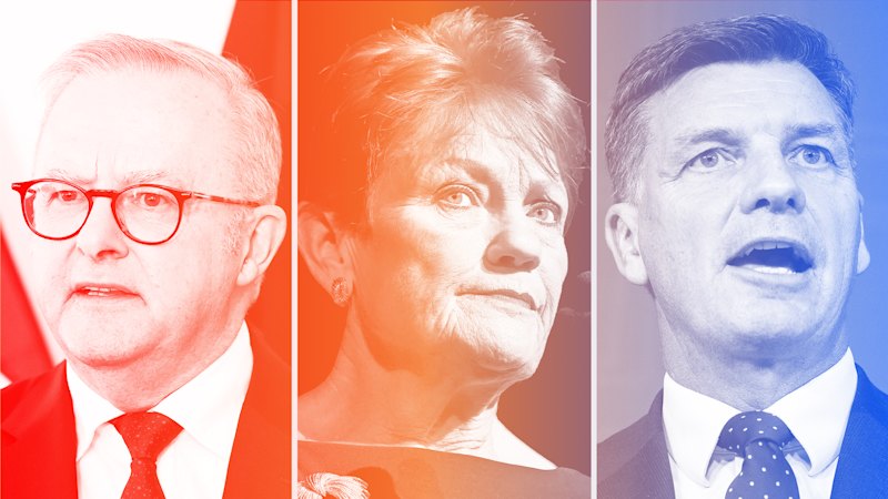 One Nation polling: Pauline Hanson’s support and likeability fall, Labor blamed on cost of living