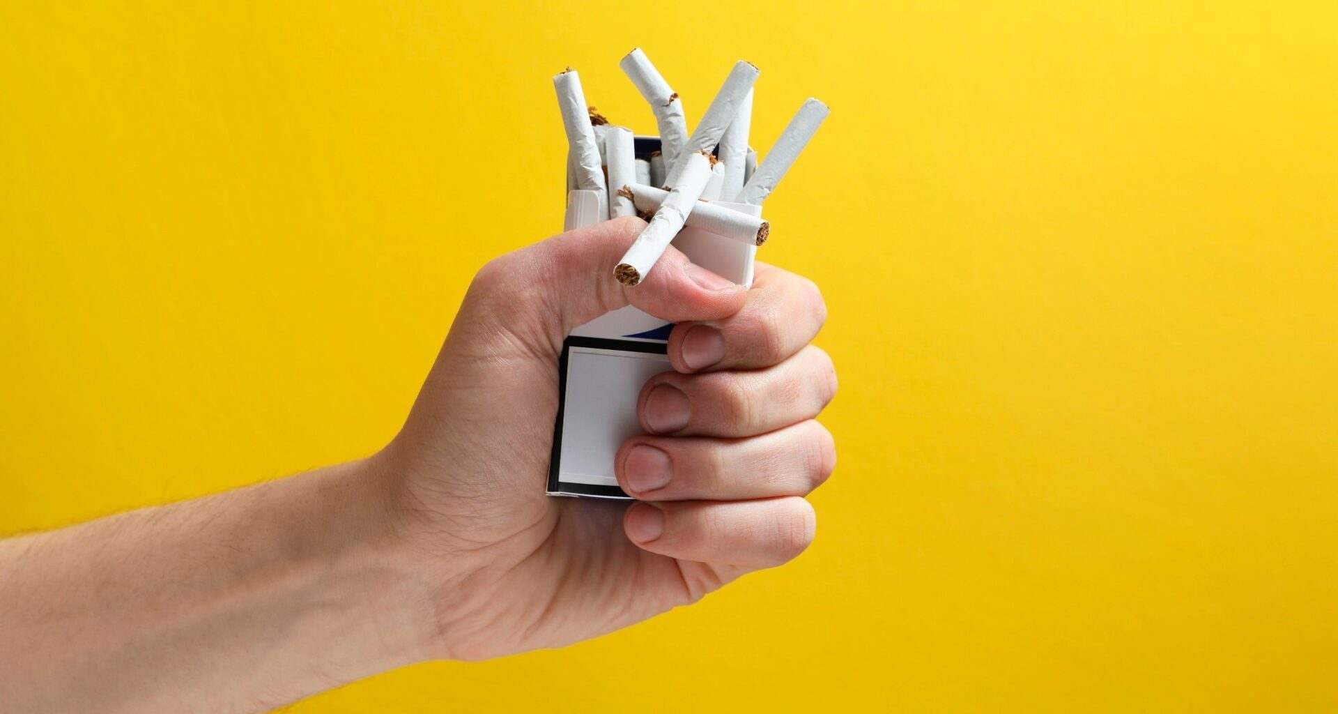 Study: Smoking Cessation Among Underserved Patients Referred for Lung Cancer Screening. Image Credit: New Africa  / Shutterstock