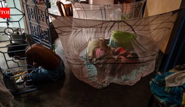 Since 2004, Bill Gates has sent millions of anti-malaria nets to Africa, but the donated gear has been devastating local waters for years |