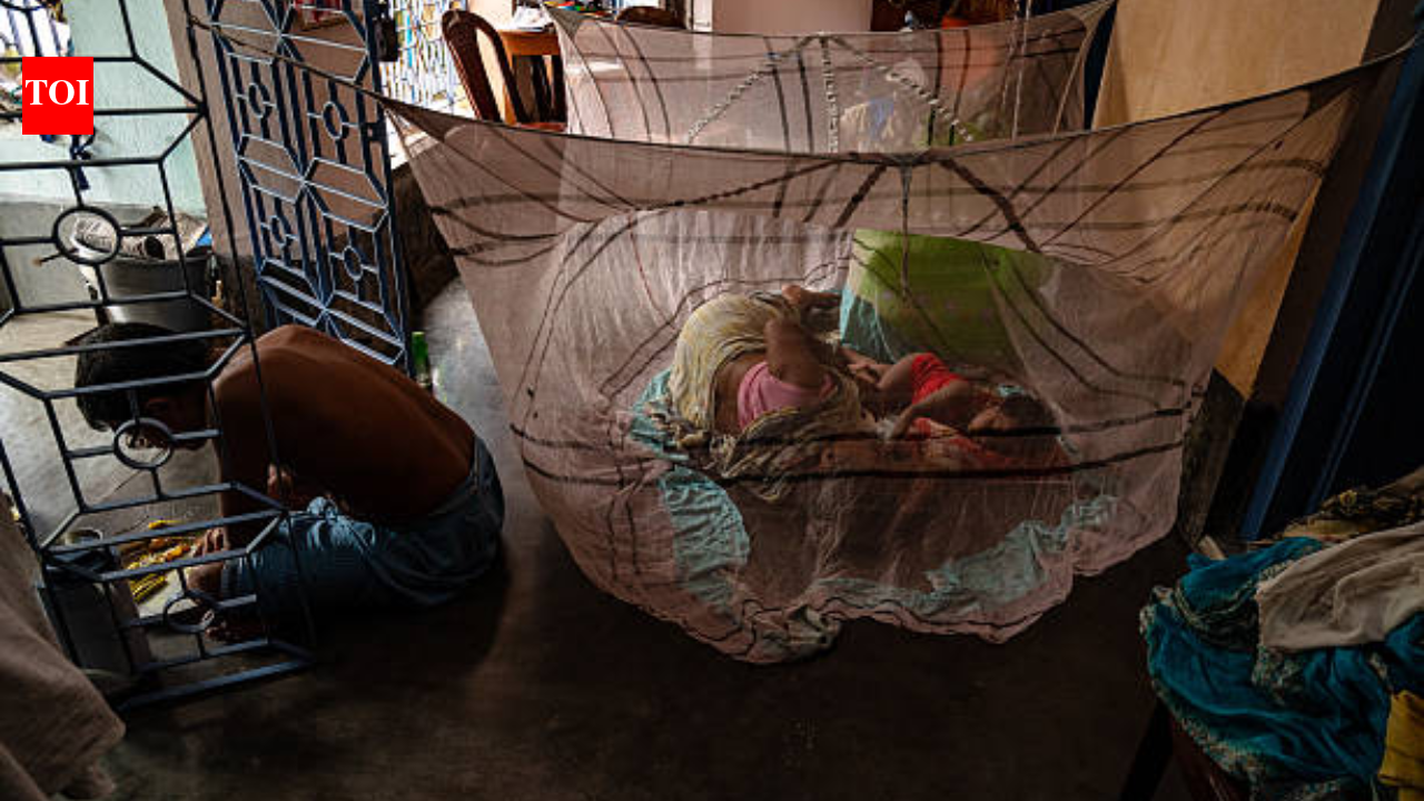 Since 2004, Bill Gates has sent millions of anti-malaria nets to Africa, but the donated gear has been devastating local waters for years |