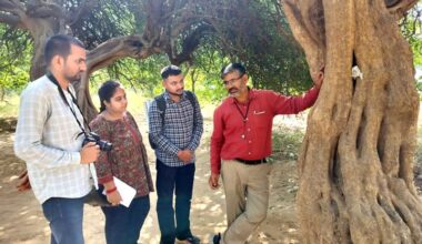 brand-logo-img