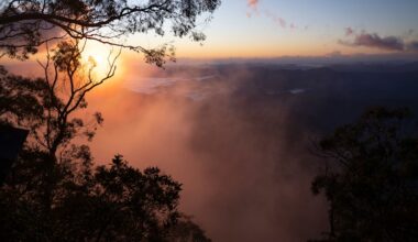 Great Koala National Park: Legislation introduced crate park that would balance animal and environment protection with recreational activities