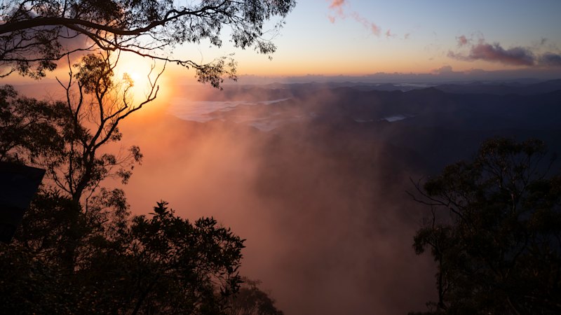 Great Koala National Park: Legislation introduced crate park that would balance animal and environment protection with recreational activities