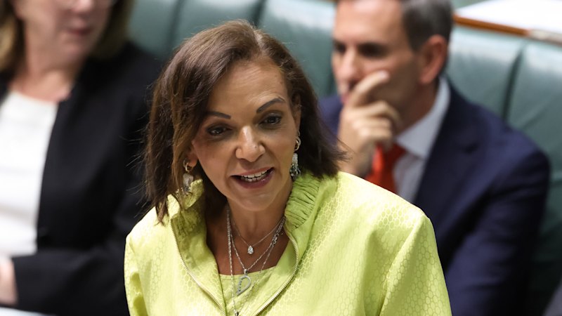 Small business minister Anne Aly says she’s had 19 death threats this week
