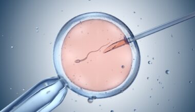 Managing vibration in IVF laboratories
