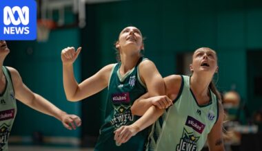 Tasmania's WNBL return is 30 years in the making with the Jewels' debut