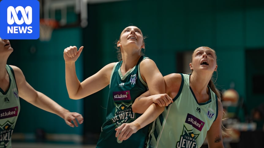 Tasmania's WNBL return is 30 years in the making with the Jewels' debut