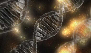 CHOP Researchers Identify Genetic Variant Linked to Neurodevelopmental Disorder