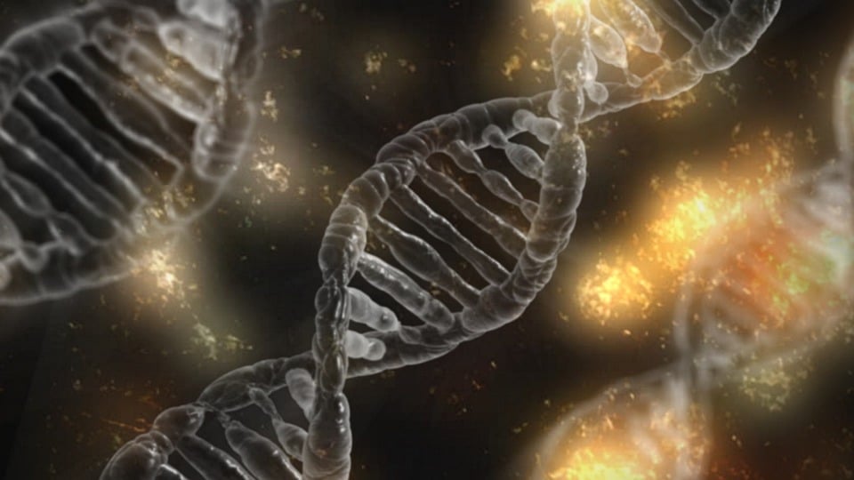 CHOP Researchers Identify Genetic Variant Linked to Neurodevelopmental Disorder