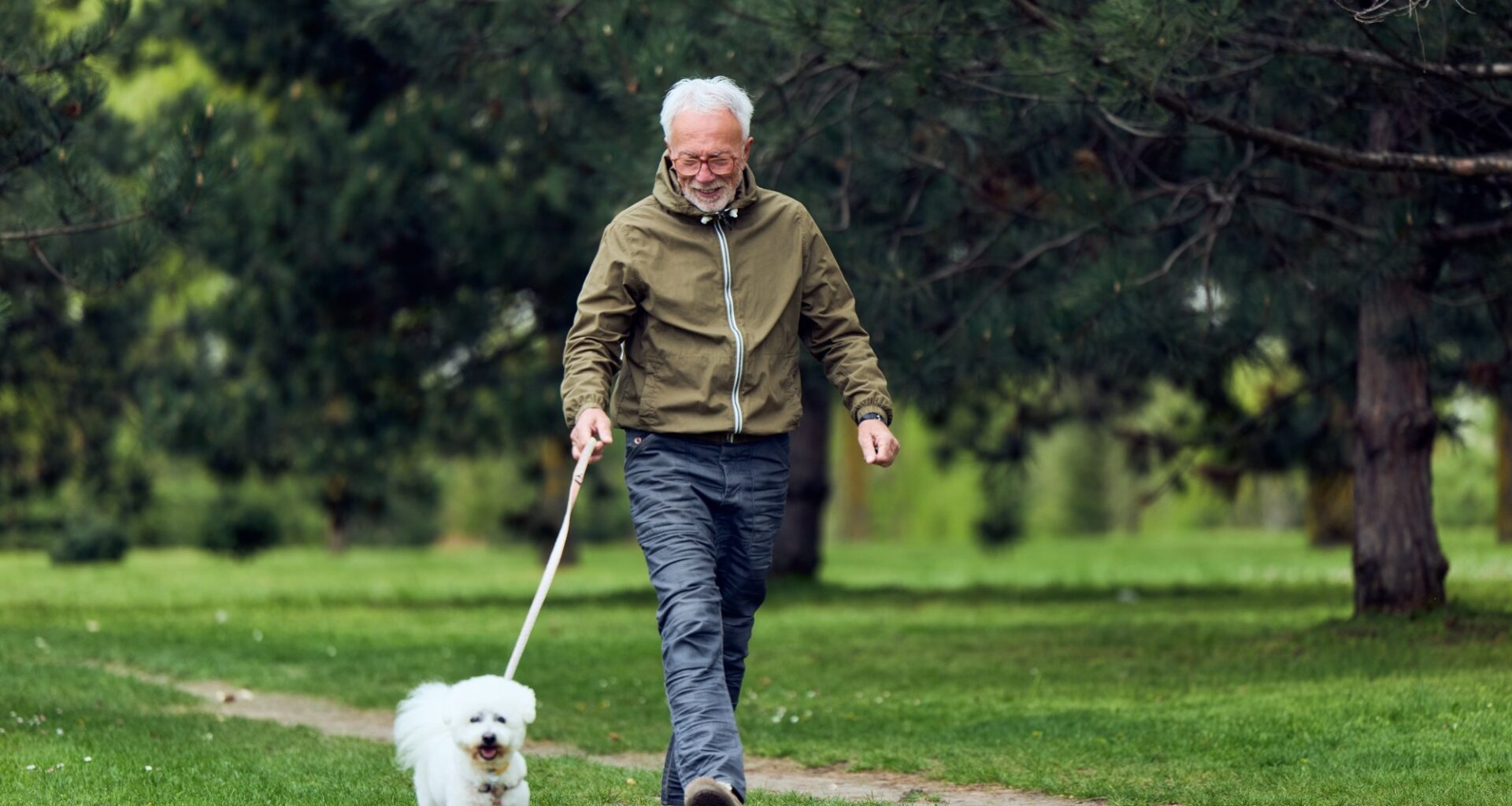 Study: Physical activity and blood pressure as predictors of cognitive function in the all of us research program. Image Credit: Branislav Nenin / Shutterstock