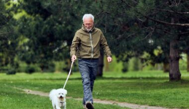 Study: Physical activity and blood pressure as predictors of cognitive function in the all of us research program. Image Credit: Branislav Nenin / Shutterstock