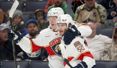 Team USA hockey brothers connect to pull off historic NHL feat in dominant performance