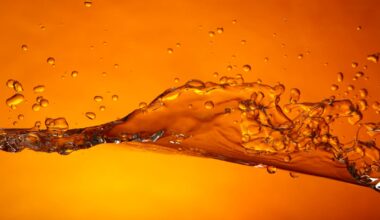 Geneva-based Oryx has expanded across sub-Saharan Africa, growing operations from trading and supply to distribution over more than three decades.