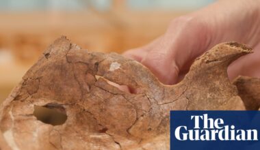 Neanderthal remains may be earliest human ancestor find killed by a spear | Neanderthals