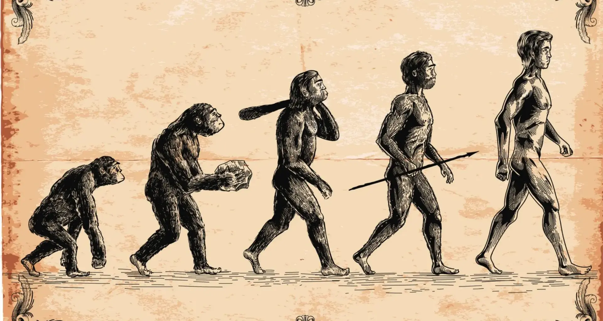 Do you think evolution is over?