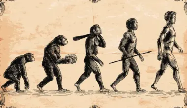 Do you think evolution is over?