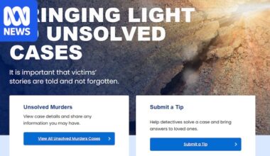 ABC news quiz: Investigate a fake murder, kill time and meet some introverted seabirds