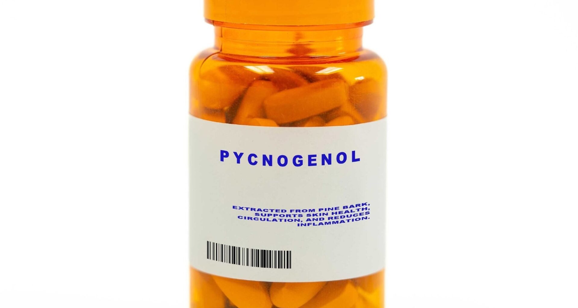 Study: Quality of life and safety of a dietary intervention with French maritime pine bark extract (Pycnogenol®) in women with osteoporotic bone loss: a randomized, placebo-controlled double-blind study - Part II. Image Credit: luchschenF / Shutterstock