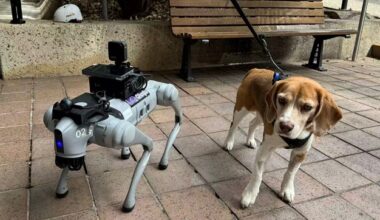 A robot dog next to a real dog