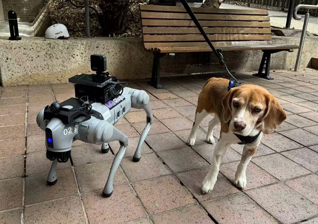 A robot dog next to a real dog