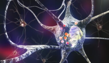 Image of neuron and intracellular proteins.