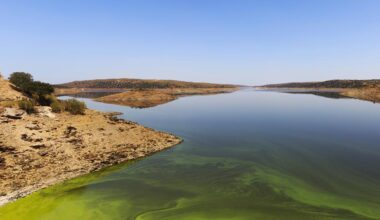 Rare N2 dimer could let scientists answer questions about global nitrogen cycle | Research