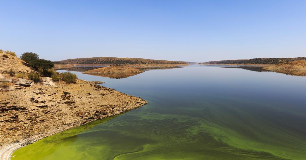 Rare N2 dimer could let scientists answer questions about global nitrogen cycle | Research