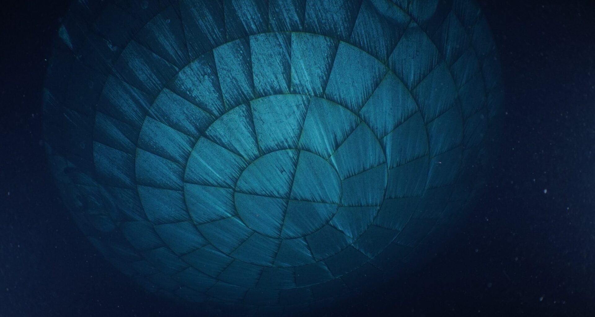 Artemis II Heat Shield After Splashdown